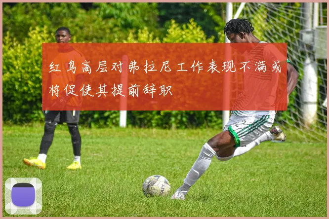 红鸟高层对弗拉尼工作表现不满或将促使其提前辞职