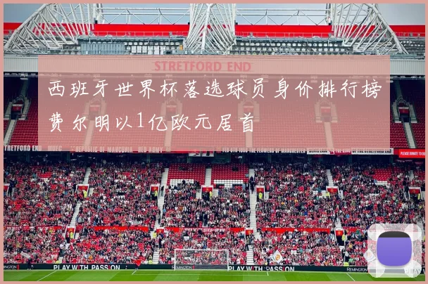 西班牙世界杯落选球员身价排行榜费尔明以1亿欧元居首