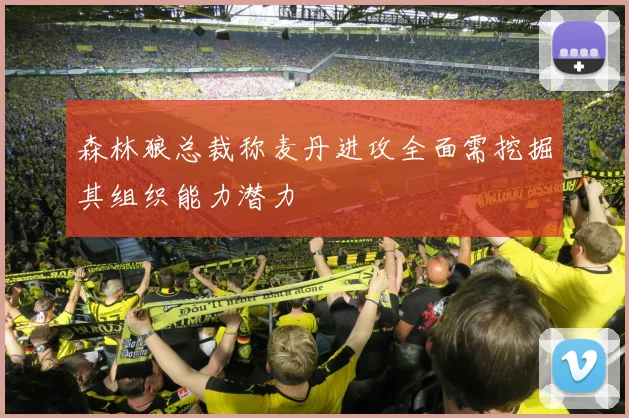 森林狼总裁称麦丹进攻全面需挖掘其组织能力潜力